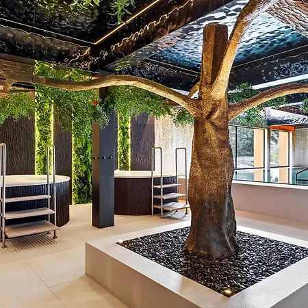 Natura Z Restauracja Magdy Gessler 초르쉬틴